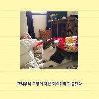 내가 선택한 가족, 미요미
