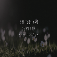 행동하지 않으면 아무것도 시작되지 않아