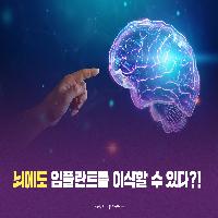 뇌에도 임플란트를 이식할 수 있다?!