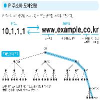 DNS 서버의 역할