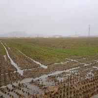 프랑스 혁명은 화산 폭발과 관련있다?