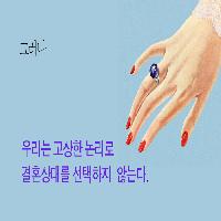 고상한 논리로 결혼상대를 선택하지 않습니다