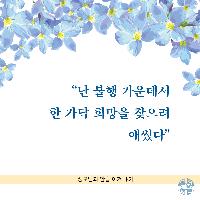 난 불행 가운데서 한 가닥 희망을 찾으려 애썼다