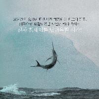 인간은 파멸당할 수는 있을지언정 패배하지는 않는다.