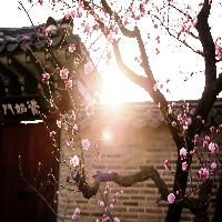 [미리보기] 책구경 : 흠영(欽英)을 흠모하다