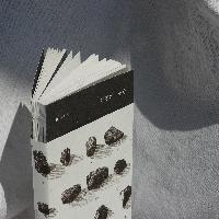 나를 살리는 일에 관한 고백, 거짓의 조금