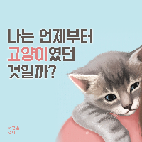고양이는 그리는 것이 아니야. 안는 거야.