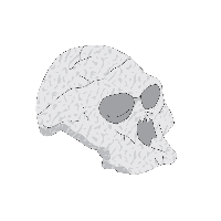 2. 문진에서 보물로 탈바꿈한 인류 화석