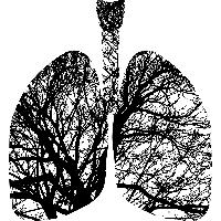 04. 해부 대상에서 한 명의 인간으로