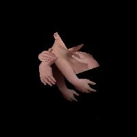 목은 괴롭지만 폴라 티는 입고 싶어