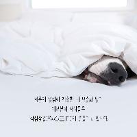 작심삼일과 인연 끊기 좋은 책 소개