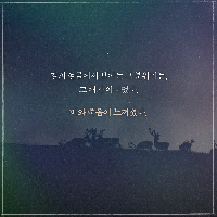 "우리 집에는 시체들의 방이 있었다."