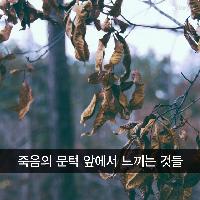 죽음의 문턱 앞에서 느끼는 것들