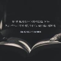 [책속한줄]그래서 매일 책을 읽기로 했다.