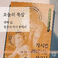 오늘의 묵상 - <가시를 빼내시는 성모님>중에서