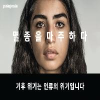 트렌드를 무시하는 파타고니아의 마케팅 성공 비결