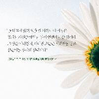 [책속한줄] 나중이 아닌 바로 지금