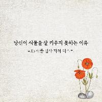 당신이 식물을 잘 키우지 못하는 이유