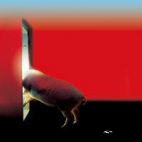 인간을 억압하는 체제 우리는 어떻게 맞설 것인가!