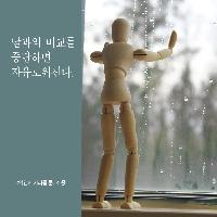 남과의 비교를 중단하면 자유로워진다.