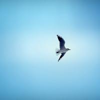 나 자신이 싫을 때도 인간다움을 유지하려면