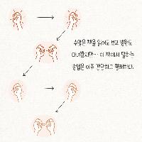 #. 먹는 즐거움 앞에서 불안한 당신에게