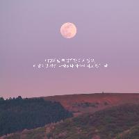 묵묵한 달과 같은 사랑