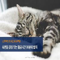 숙면을 결정짓는 황금 시간 90분의 법칙!