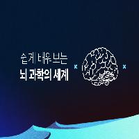 쉽게 배워보는 뇌 과학의 세계