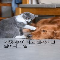 '기껏해야'라고 생각하면 일어나는 일