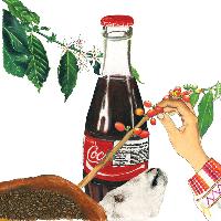 커피, 코카 &amp; 코카콜라 - 금지된 식물 이야기