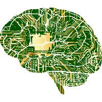 02. 해부의 사전 준비 작업