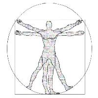 03.본격적인 해부에 들어가다
