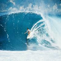 파도가 좋을 때는 직원들이 서핑하러 나가는 회사