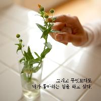 내키지 않는 일에는 더 이상 구애받고 싶지 않다