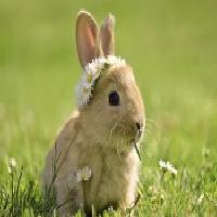 귀를 쫑긋 세우게 하는 설명의 기술