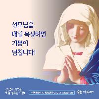 <기쁨이 가득한 매일 성모님 묵상>