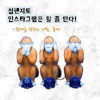 #인스타그램은_침팬지_뇌도_할_줄_안다!