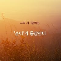 윤동주 시에 등장하는 '순이'이야기