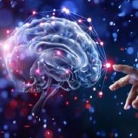 뇌과학자가 말하는 우울증의 진짜 이유