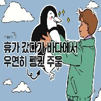 휴가 갔다가 바다에서 우연히 펭귄 주운.ssul