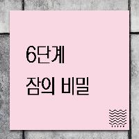 베르나르 베르베르가 그린 <6단계 잠>의 비밀