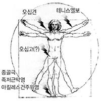 인류의 통증은 두발로 걷게 되면서 생겨났다.