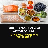 치매, DNA가 아니라 식탁이 문제다!