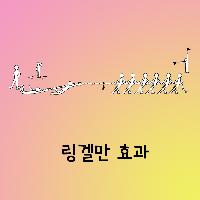 링겔만효과