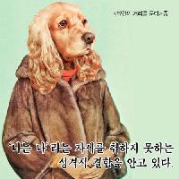 타인을 괴롭히는 사람의 특징