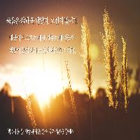 [책속한줄] 죽음은 삶과 꼭 닮았다. 오렌지 빛이다.