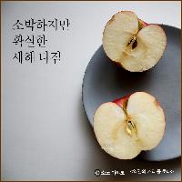 소박하지만 확실한 새해 다짐