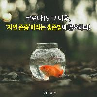 코로나19 이후, '자연 존중'이라는 생존법이 필요하다