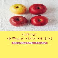 맛있는 사과를 고르는 세 가지 방법!